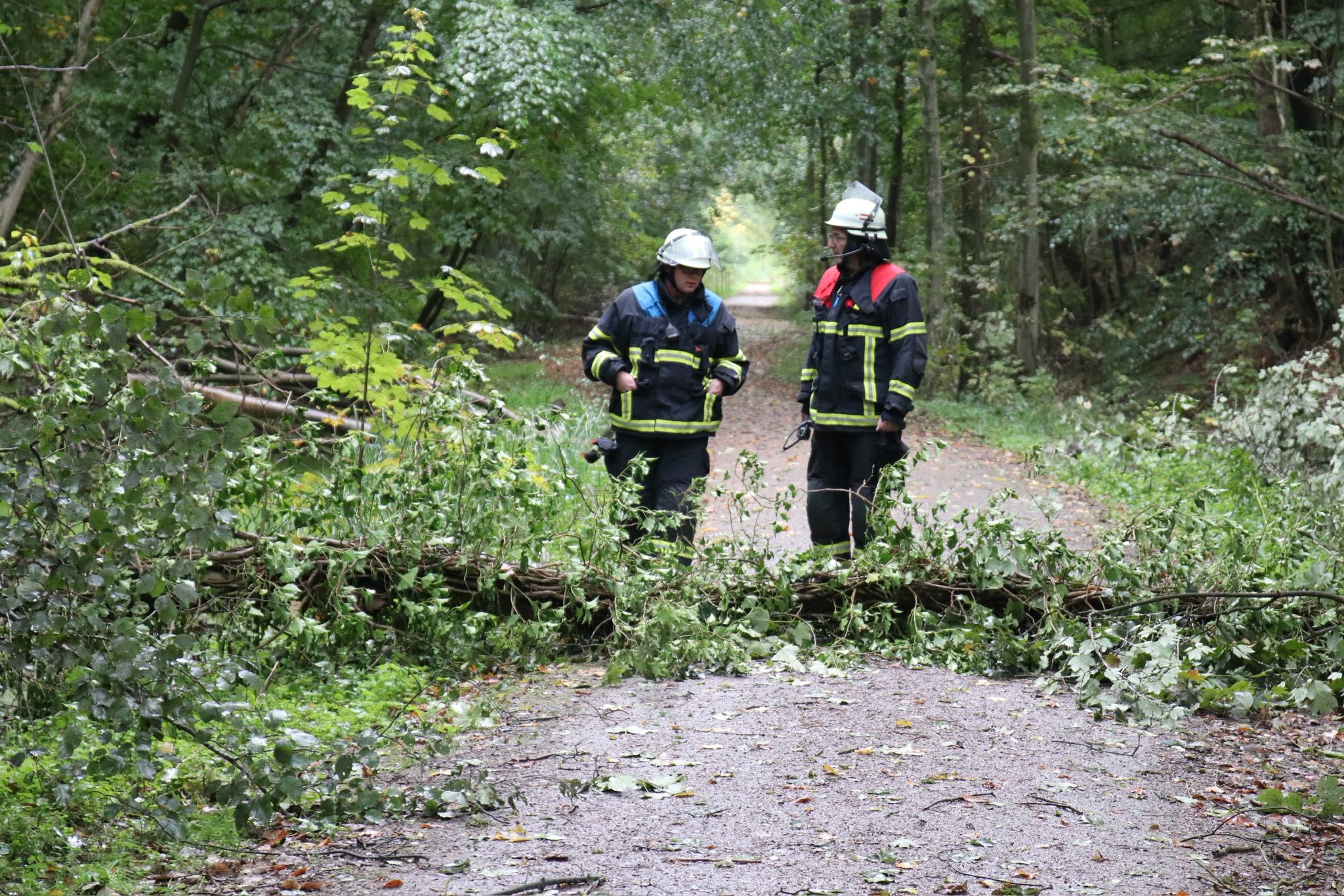 Baum stürzt auf Radweg